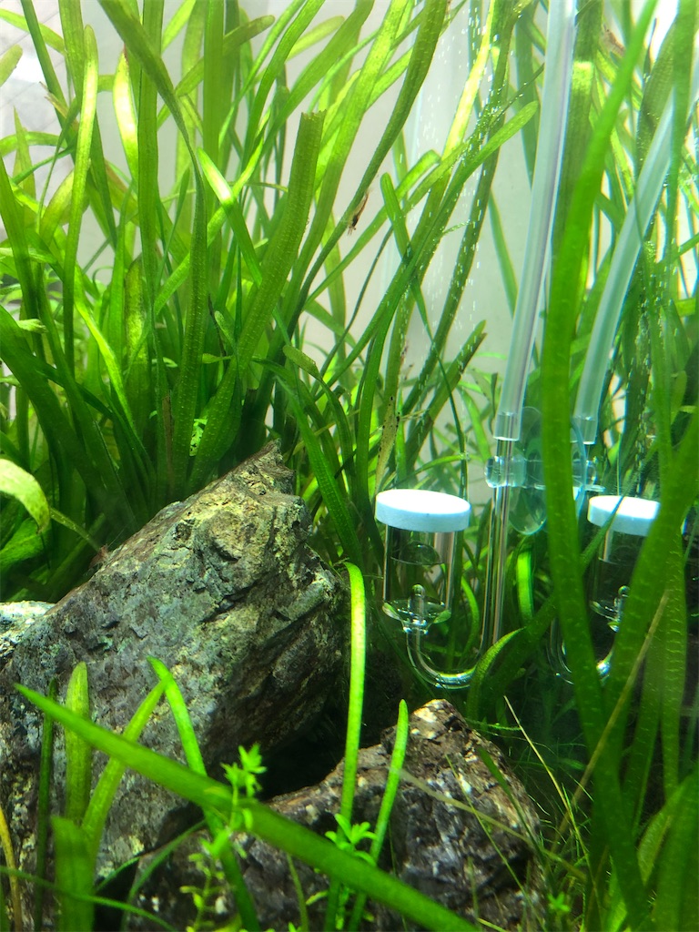 f:id:yb-hal:20220920150628j:image