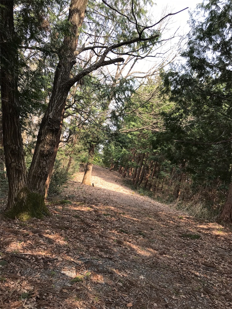 f:id:yccafe:20180405104552j:image
