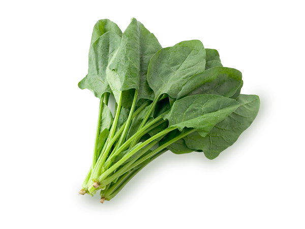 f:id:ychi71-fixed:20161022133449p:plain