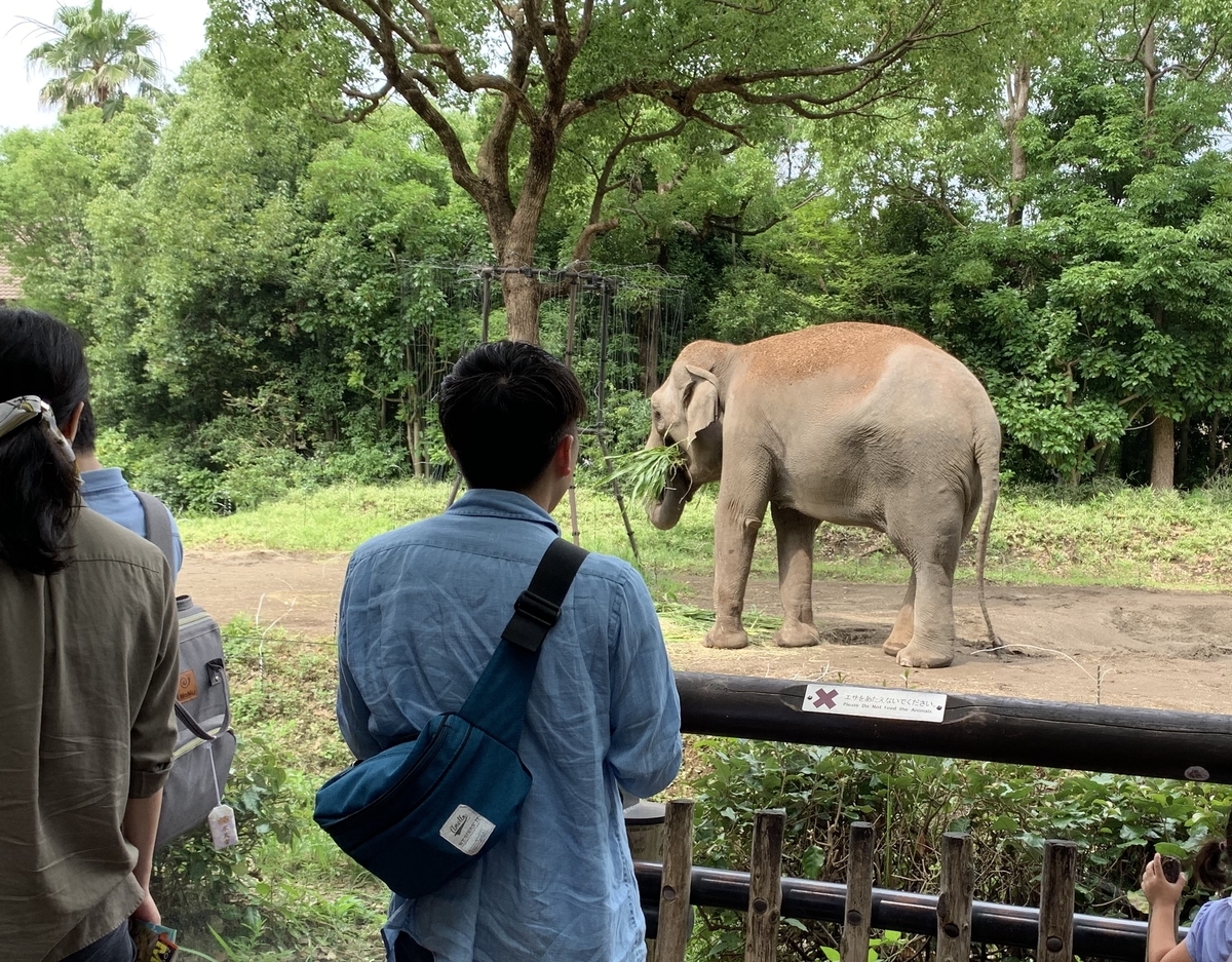f:id:ychi8:20190713184257j:plain f:id:ychi8:20190713184257j:plain