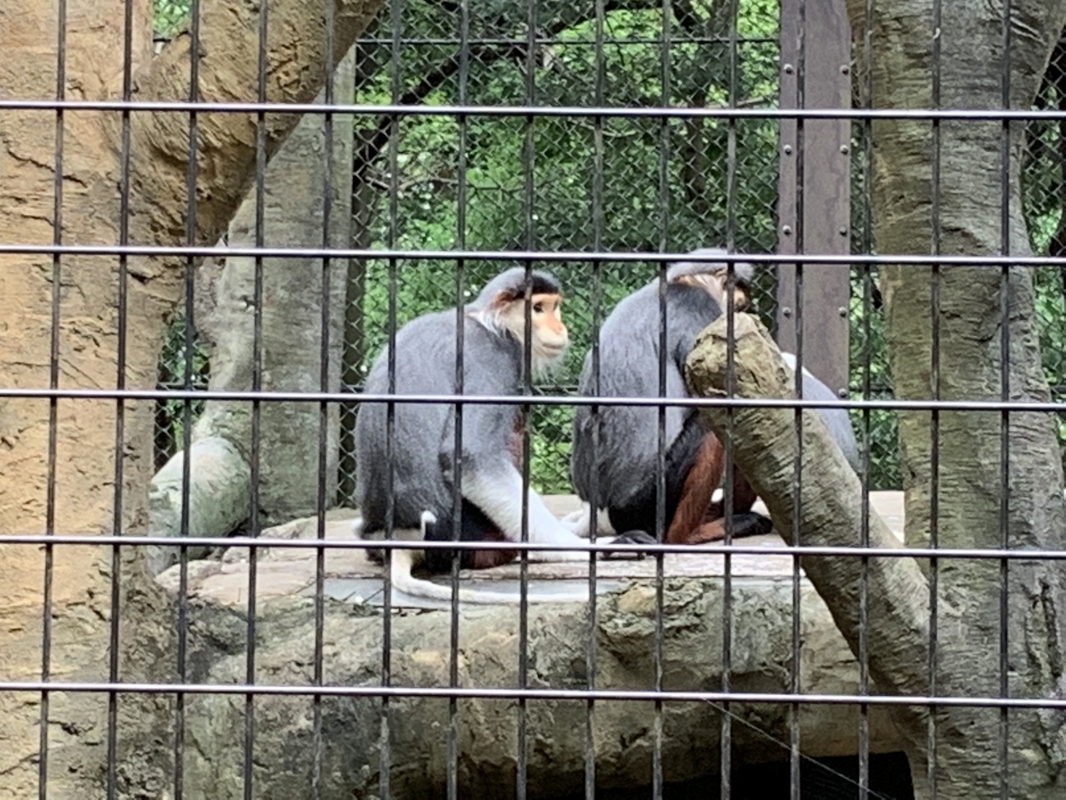 f:id:ychi8:20190713184320j:plain f:id:ychi8:20190713184320j:plain