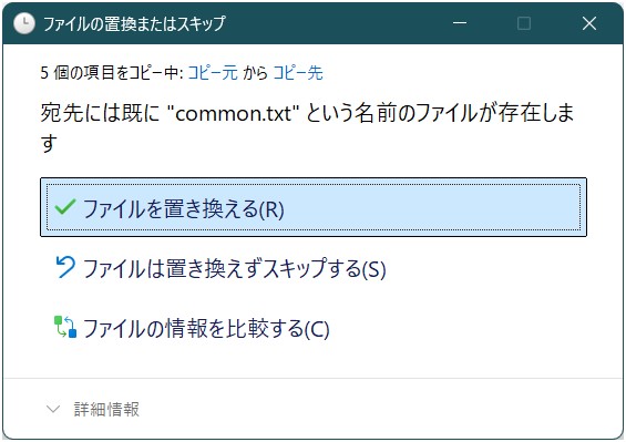 common.txtという同名ファイルがあるので「ファイルを置き換える」を選択している