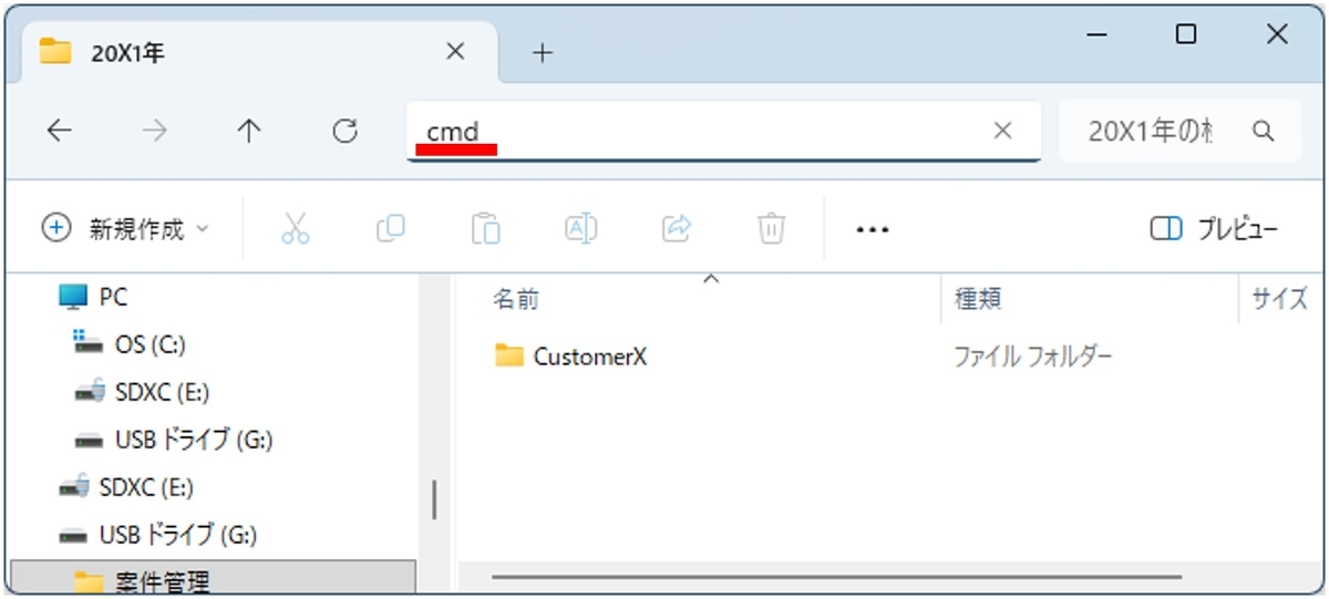 アドレスバー（パスが表示されている部分）にcmd と入力している状態