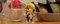 Happy Birthday Miki