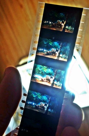アンツィオフィルム