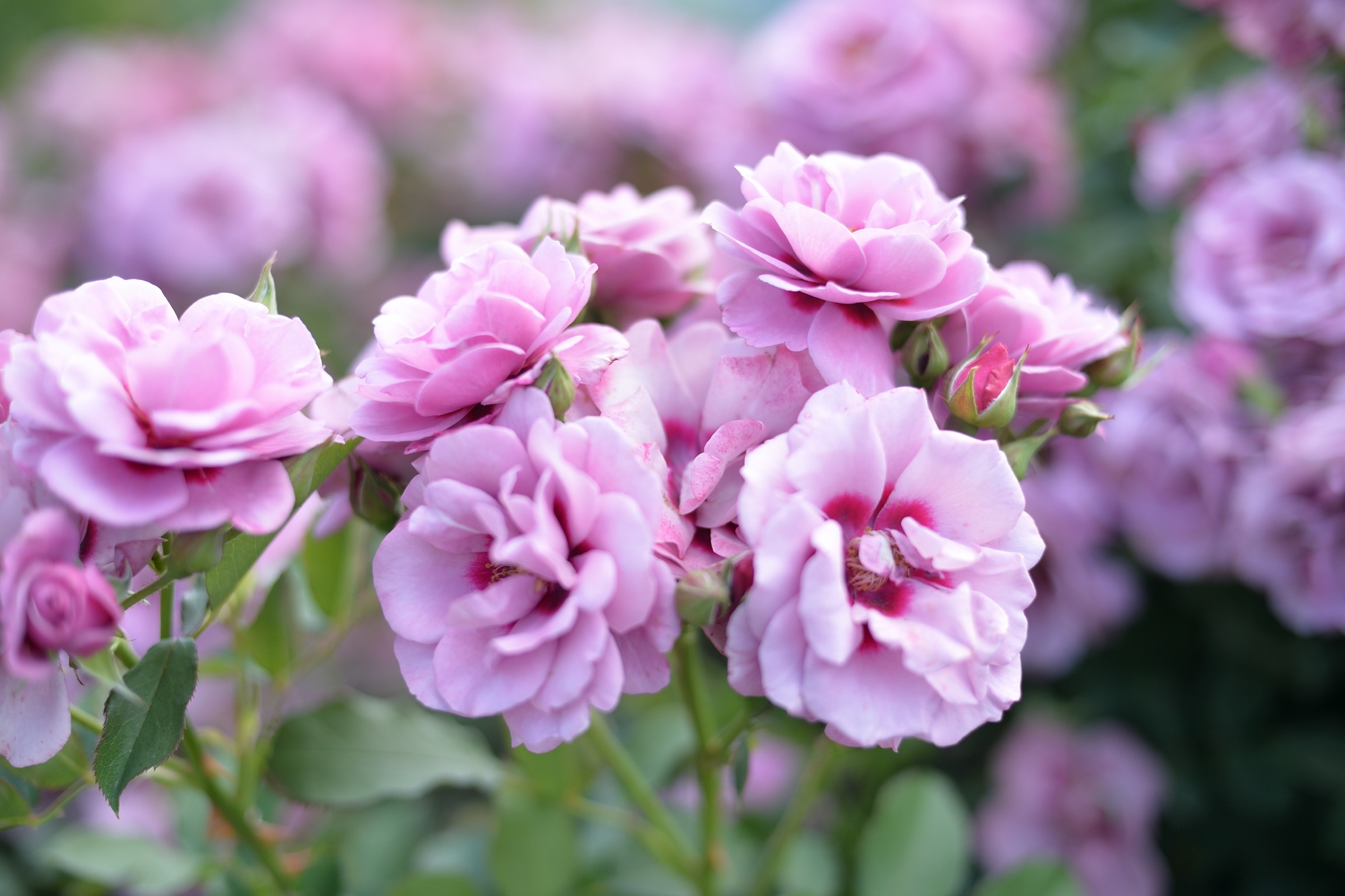 f:id:ydov:20230613235317j:image f:id:ydov:20230613235317j:image