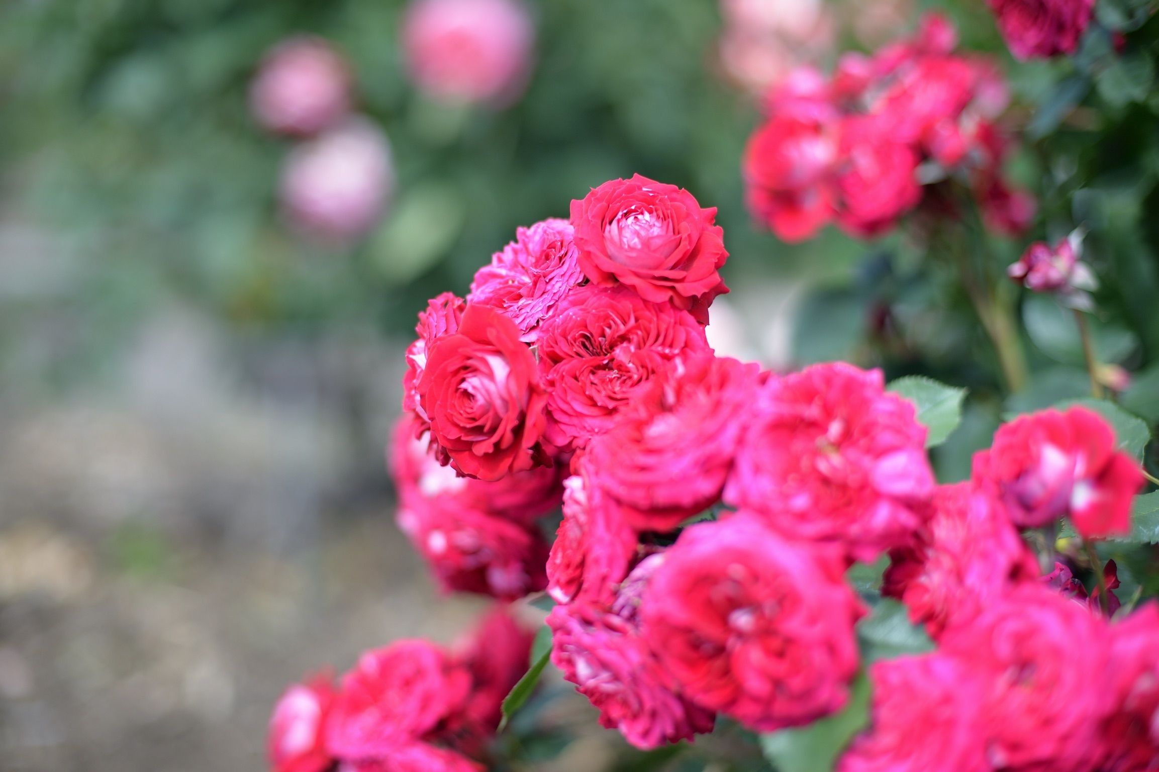 f:id:ydov:20230613235331j:image f:id:ydov:20230613235331j:image