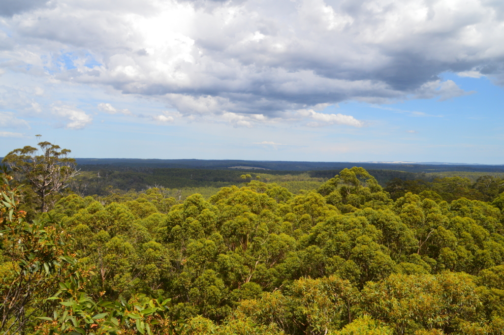 f:id:ye1021:20170830160851j:plain