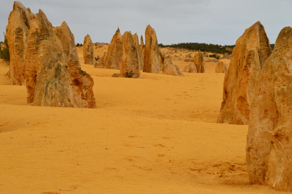 f:id:ye1021:20170902185953j:plain