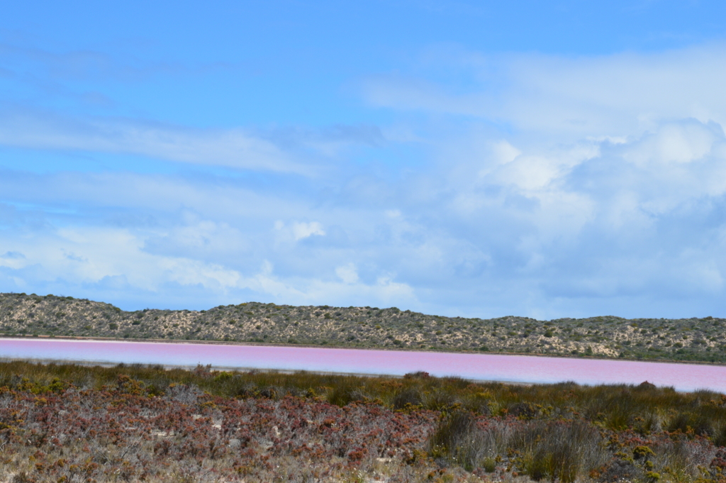 f:id:ye1021:20170902192101j:plain