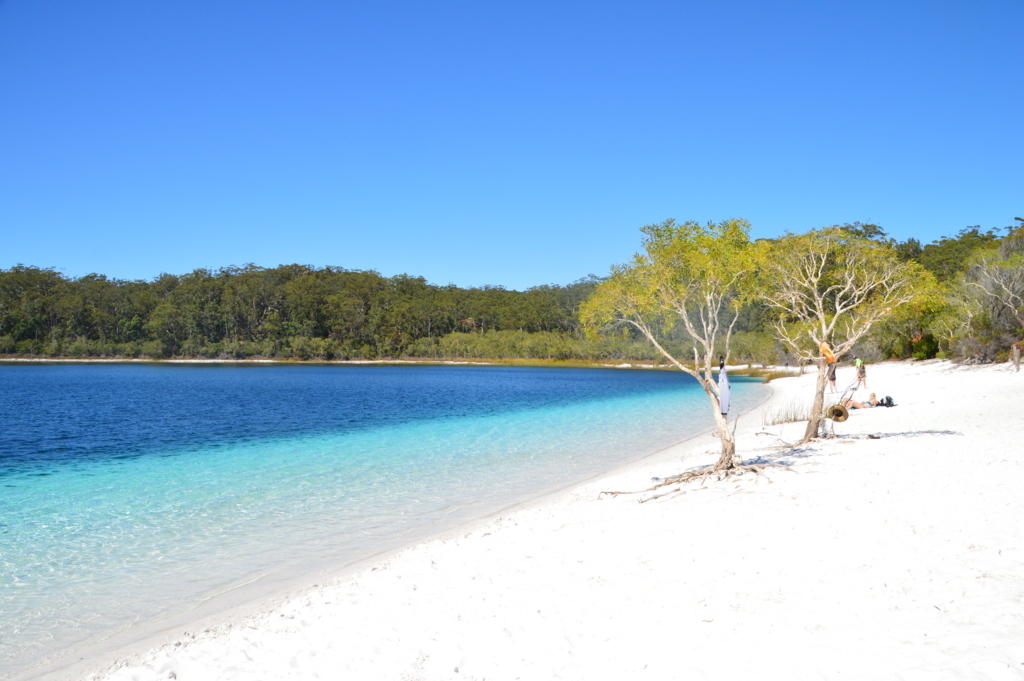 f:id:ye1021:20171113082120j:plain f:id:ye1021:20171113082120j:plain