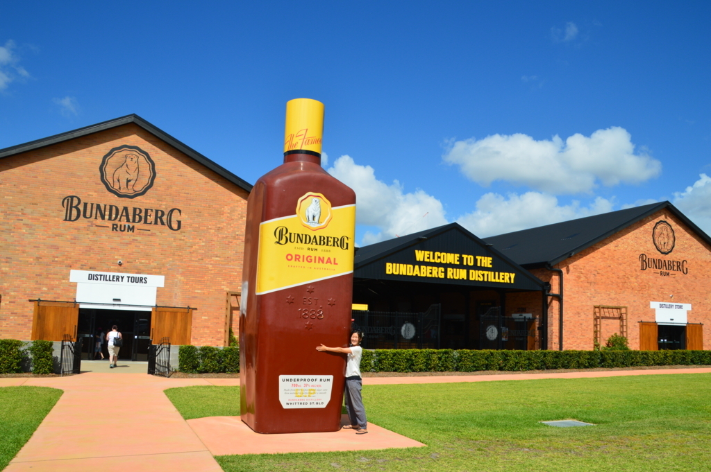 f:id:ye1021:20171231180430j:plain f:id:ye1021:20171231180430j:plain