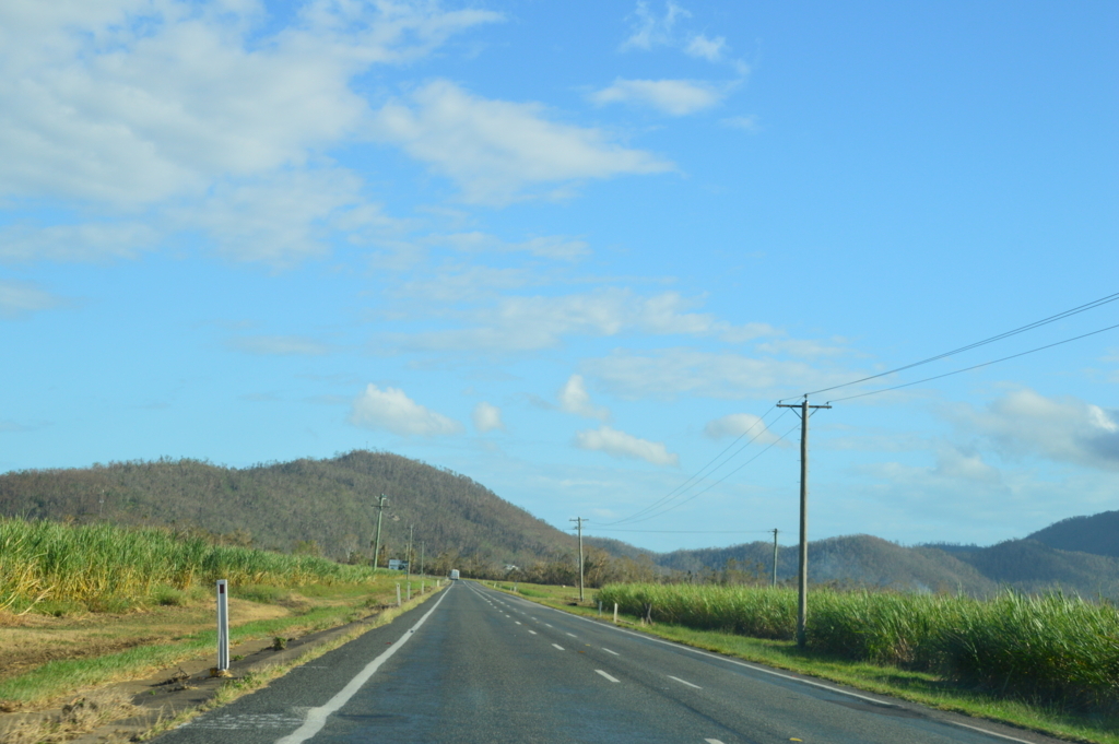 f:id:ye1021:20171231195658j:plain f:id:ye1021:20171231195658j:plain