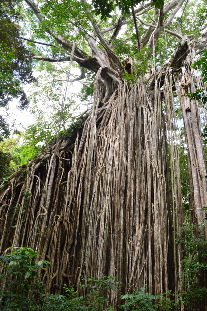 f:id:ye1021:20180108190126j:plain