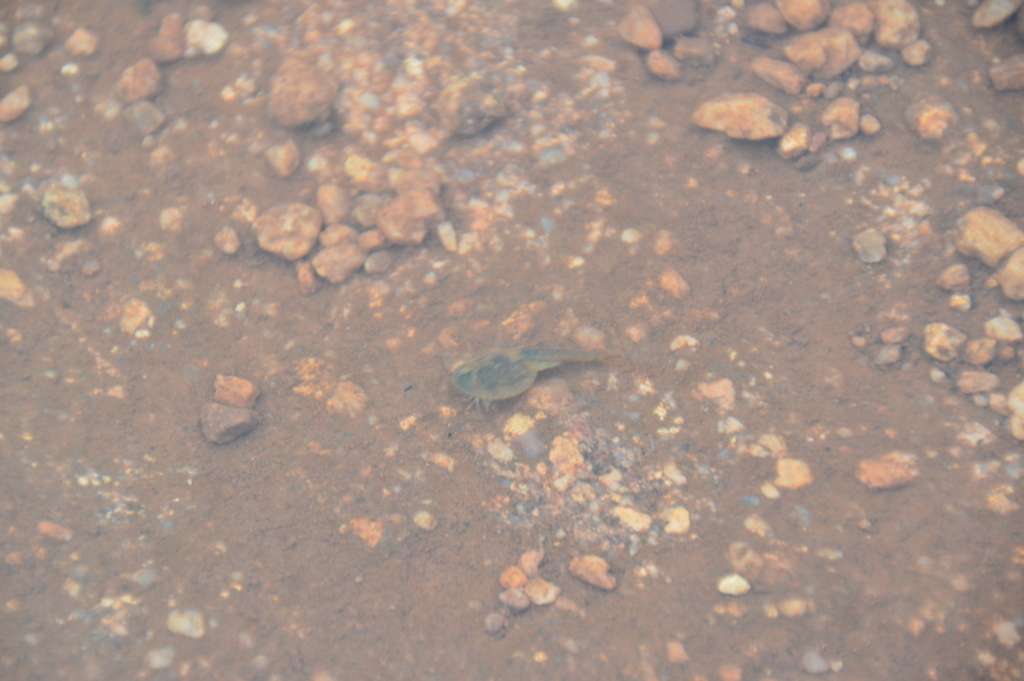 f:id:ye1021:20180218195752j:plain f:id:ye1021:20180218195752j:plain