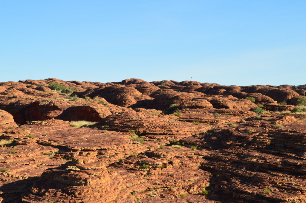 f:id:ye1021:20180218203319j:plain f:id:ye1021:20180218203319j:plain