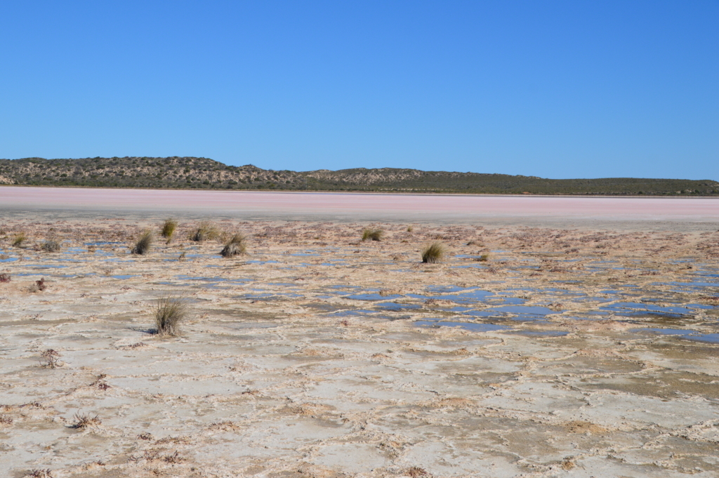 f:id:ye1021:20180406204327j:plain