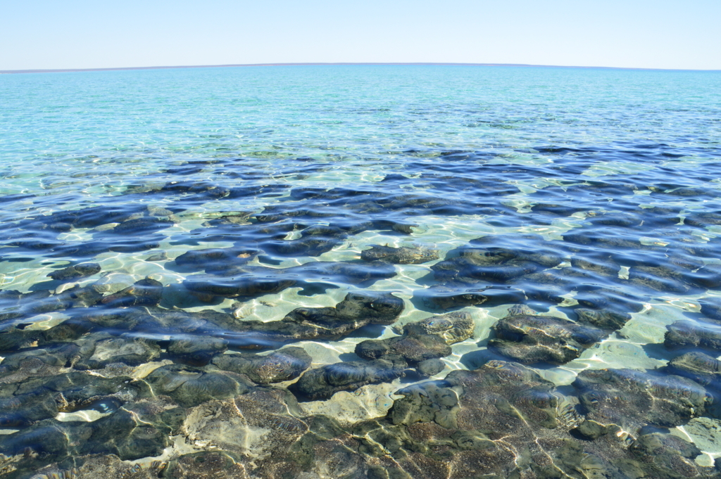 f:id:ye1021:20180406210547j:plain f:id:ye1021:20180406210547j:plain