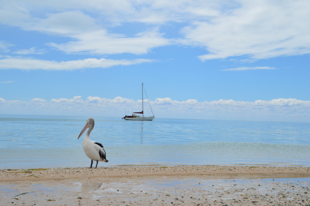 f:id:ye1021:20180504191910j:plain f:id:ye1021:20180504191910j:plain