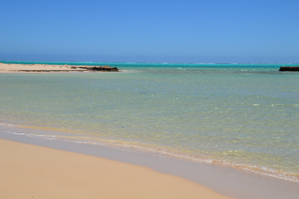 f:id:ye1021:20180504192049j:plain f:id:ye1021:20180504192049j:plain