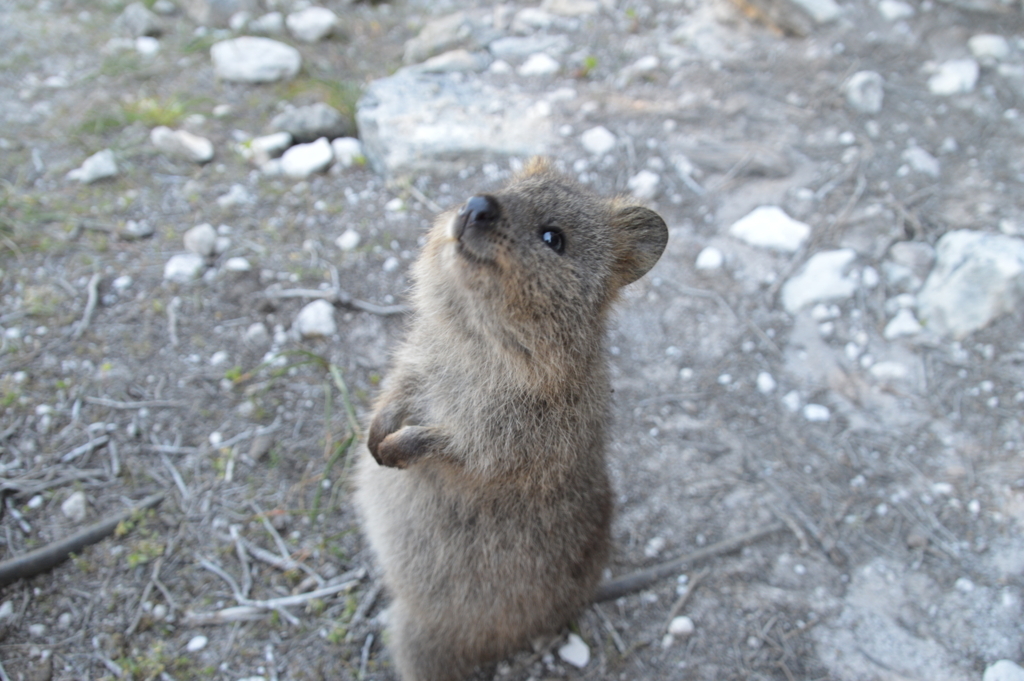 f:id:ye1021:20180504192132j:plain