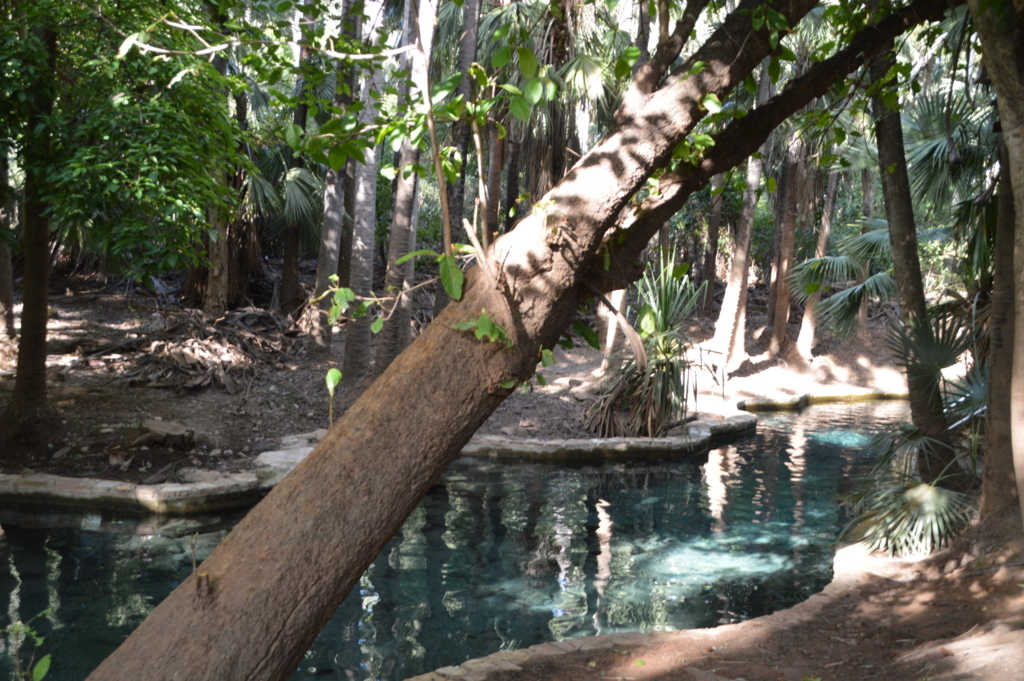 f:id:ye1021:20180504193126j:plain