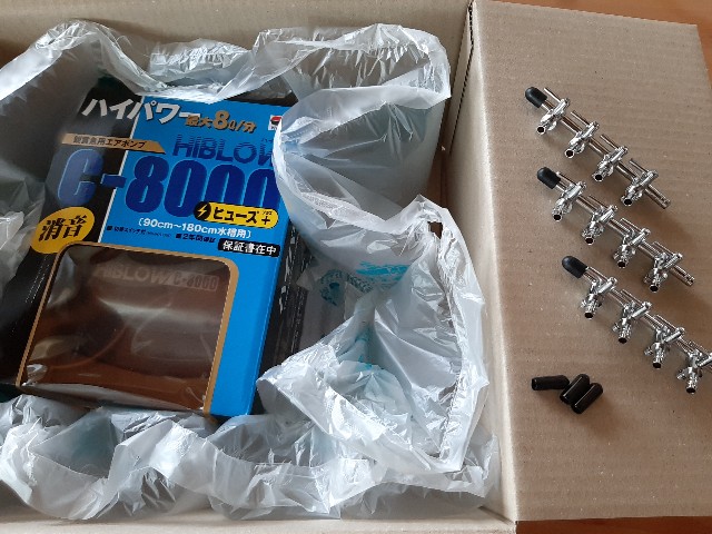 f:id:yebikichi-aqua:20210621162442j:image