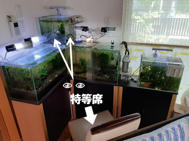 回転式水槽台をDIYしてみた - えび吉のアクアリウムパラダイス！！