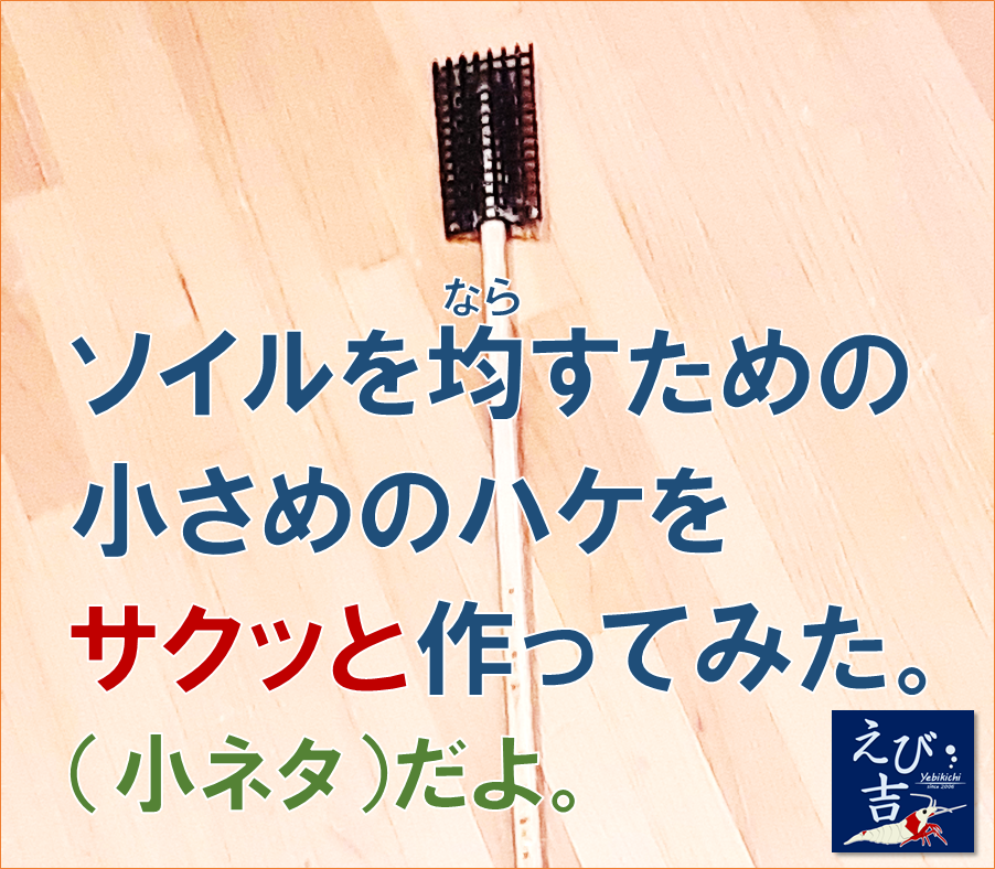 えび吉のアクアリウムパラダイス えび吉のアクアリウムパラダイス