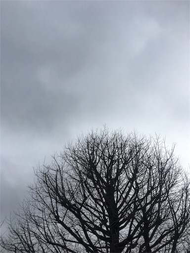f:id:yellowcnr:20180424094107j:image f:id:yellowcnr:20180424094107j:image