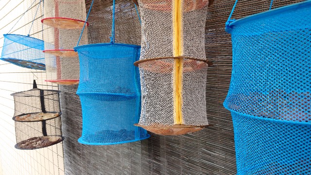 f:id:yellowghost2016:20211102083124j:image