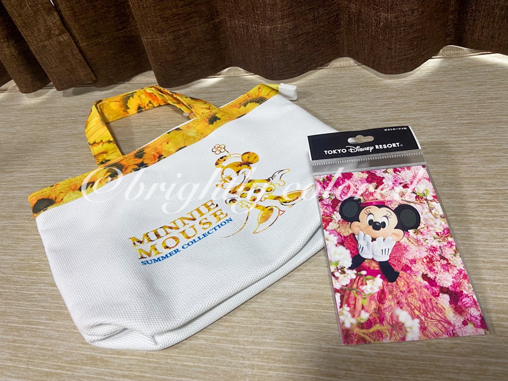 ディズニーオンラインショッピング記録 グッズ爆買い全記録 イマジニングもダッフィーも 欲しいものをひたすらポチポチした結果 Brightly Colored