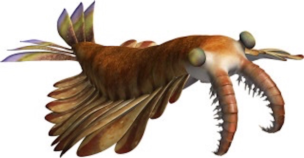f:id:yellowrace:20200621020751j:image f:id:yellowrace:20200621020751j:image