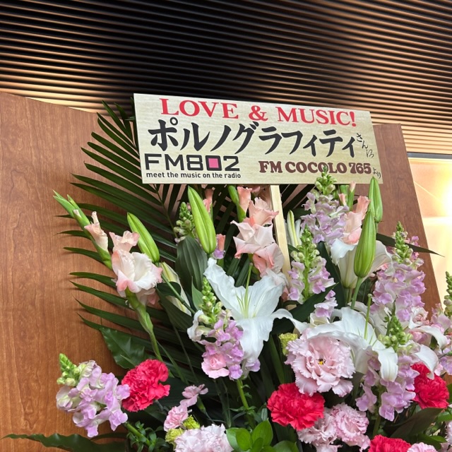 ポルノグラフィティ 19thライヴサーキット “PG wasn't built in a day