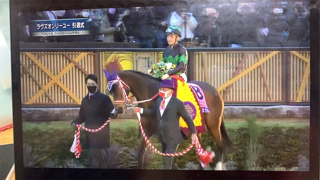 ラヴズオンリーユー　競馬　非売品 引退式パドック入場パス 非売品/貴重】競馬 ラヴズオンリーユー 引退式 パドック入場パス