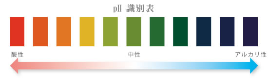 f:id:yentame_02:20170804122514j:plain f:id:yentame_02:20170804122514j:plain