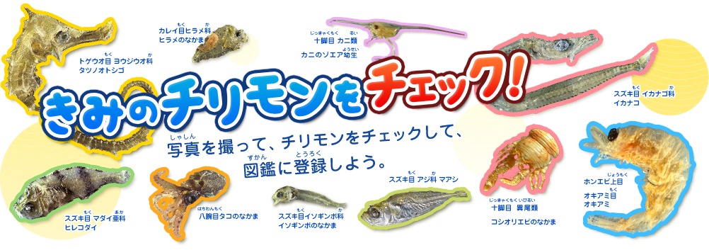 f:id:yentame_02:20170804123215p:plain f:id:yentame_02:20170804123215p:plain