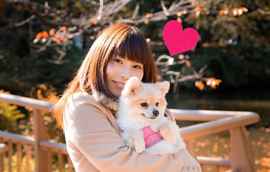 f:id:yentame_02:20170928122745j:plain f:id:yentame_02:20170928122745j:plain