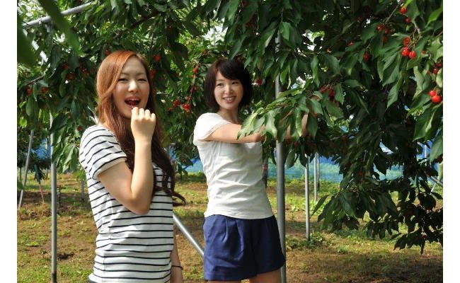 f:id:yentame_02:20171011142725j:plain f:id:yentame_02:20171011142725j:plain