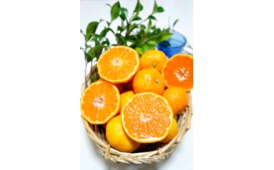f:id:yentame_02:20171011142830j:plain f:id:yentame_02:20171011142830j:plain
