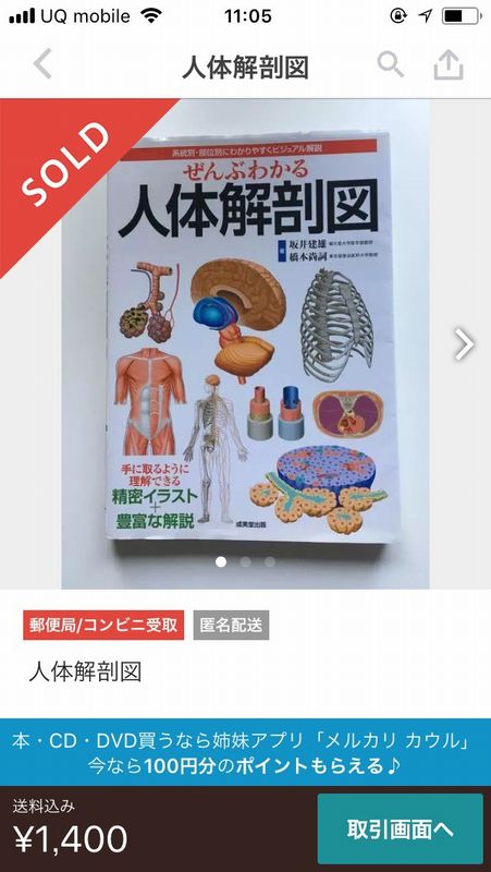 人体解剖図 人体解剖図