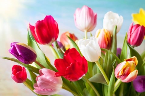 f:id:yeshanalog:20200318002928j:plain f:id:yeshanalog:20200318002928j:plain
