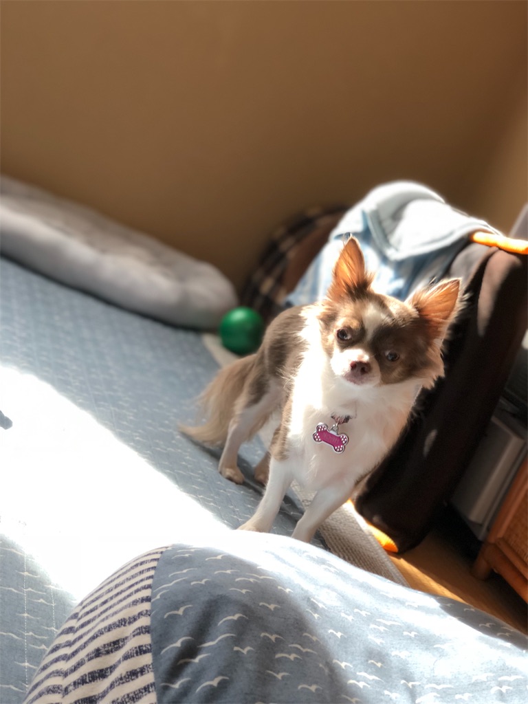 f:id:yesilikeit:20190119235919j:image