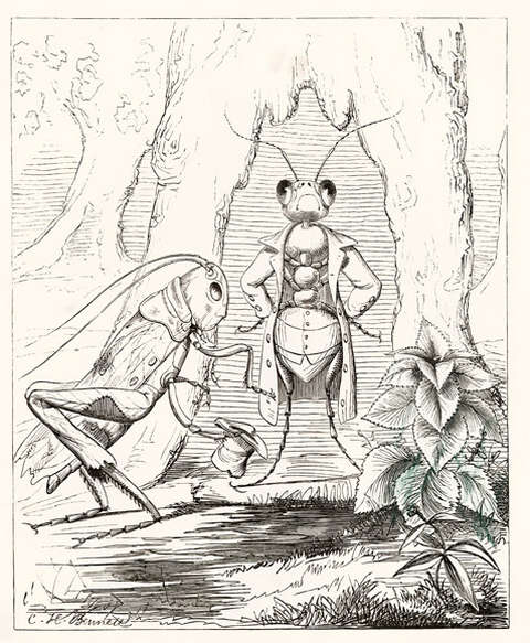 the-ant-and-the-grasshopper-charles-henry-bennett
