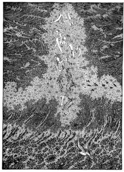 mermaid-dugald-stewart-walker-picture-2