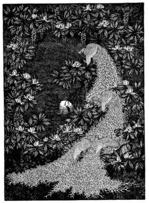 nightingale-dugald-stewart-walker-picture