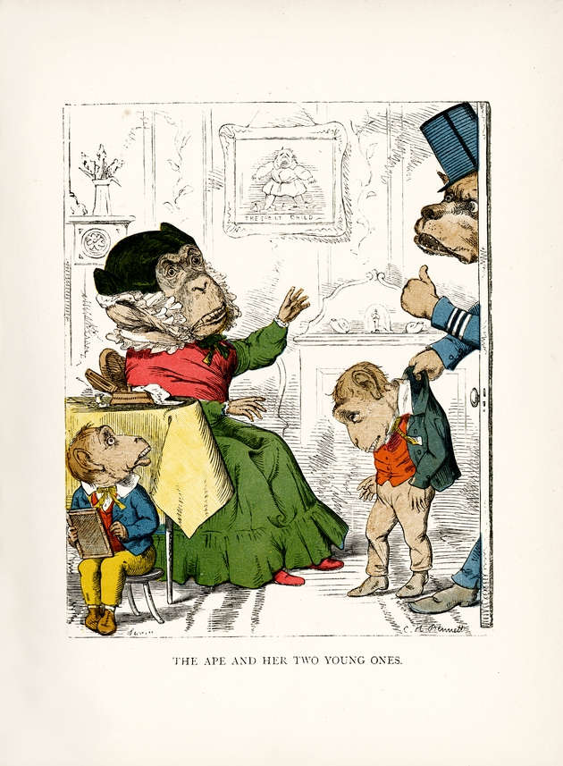 thee-ape-and-her-young-ones-picture-charles-h-bennett
