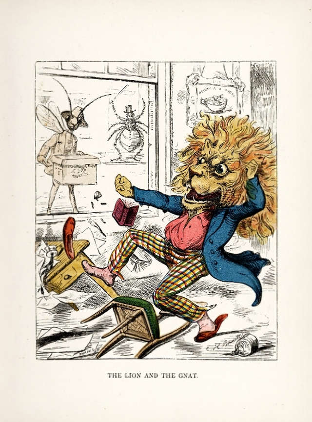 charles-henry-bennett-lion-and-gnat
