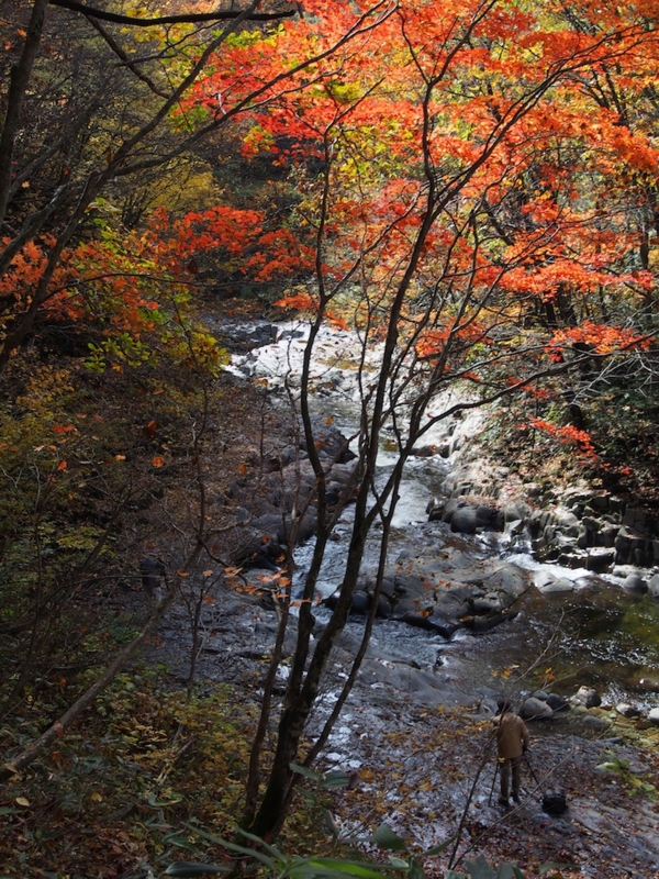 OLYMPUS VS Nikon&Leica yeti3776’s blog