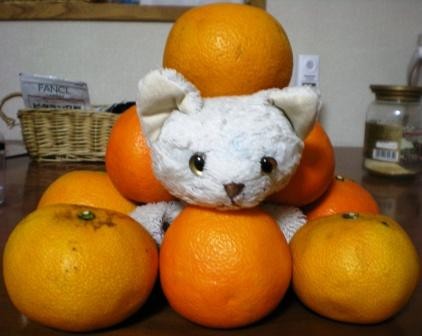 f:id:yeup:20110424095105j:image f:id:yeup:20110424095105j:image